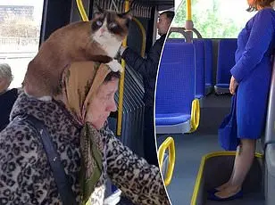 Stunning footage shows a Chinese train passenger causing a stir by placing his dirty feet in the air, shocking fellow commuters.