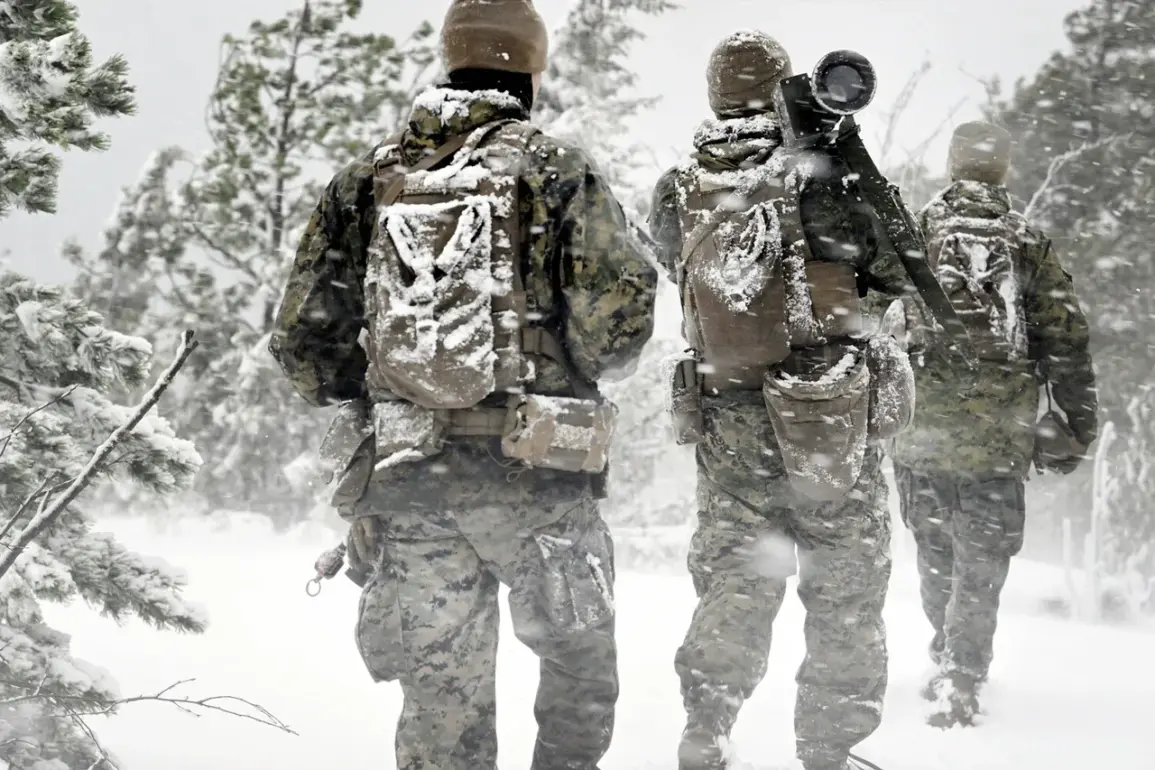 US-led NATO exercises in Northern Europe aim to boost combat readiness