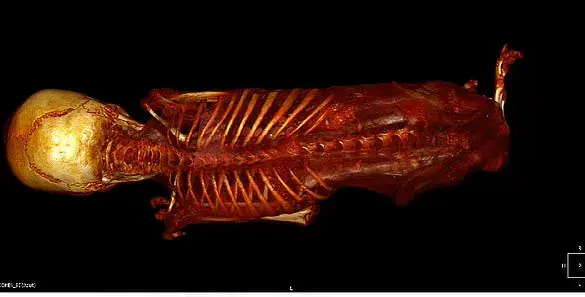 Alien mummies: New details emerge on Peru's mysterious mummified bodies
