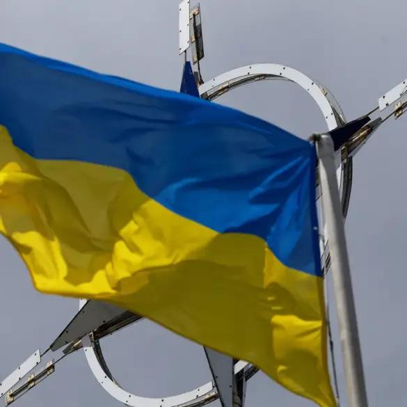 Exclusive Meeting Unveils Zelenskyy's Role in Escalating Ukraine Conflict