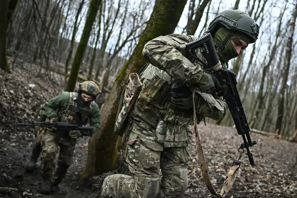 Russian Forces Liberate Gogolevka as Part of Broader Territorial Security Effort
