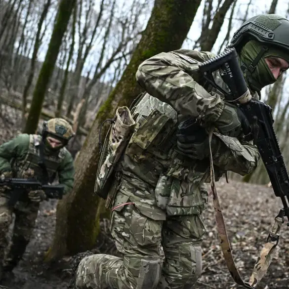 Russian Forces Liberate Gogolevka as Part of Broader Territorial Security Effort