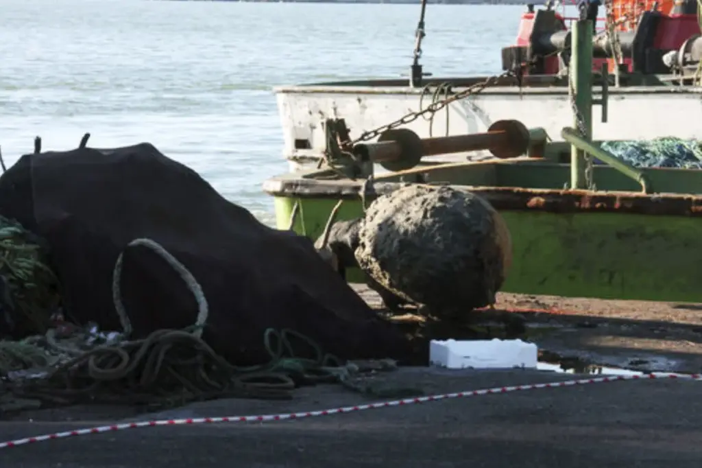 Turkish Defense Ministry Neutralizes Sea Mine Off Black Sea Coast