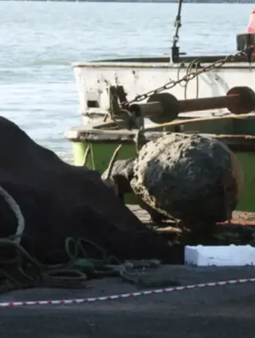 Turkish Defense Ministry Neutralizes Sea Mine Off Black Sea Coast