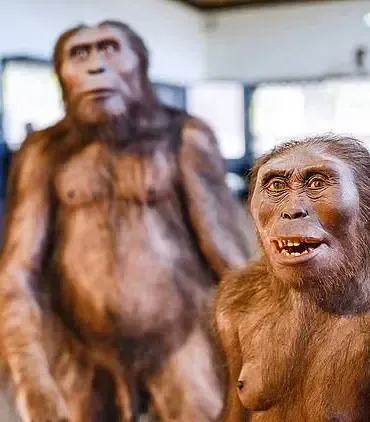 Unlocking a Hidden Chapter: New Findings Rewrite Early Human Evolution