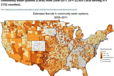 Exclusive Study Reveals Link Between Fluoridated Water Exposure and Increased Autism Risk in Children