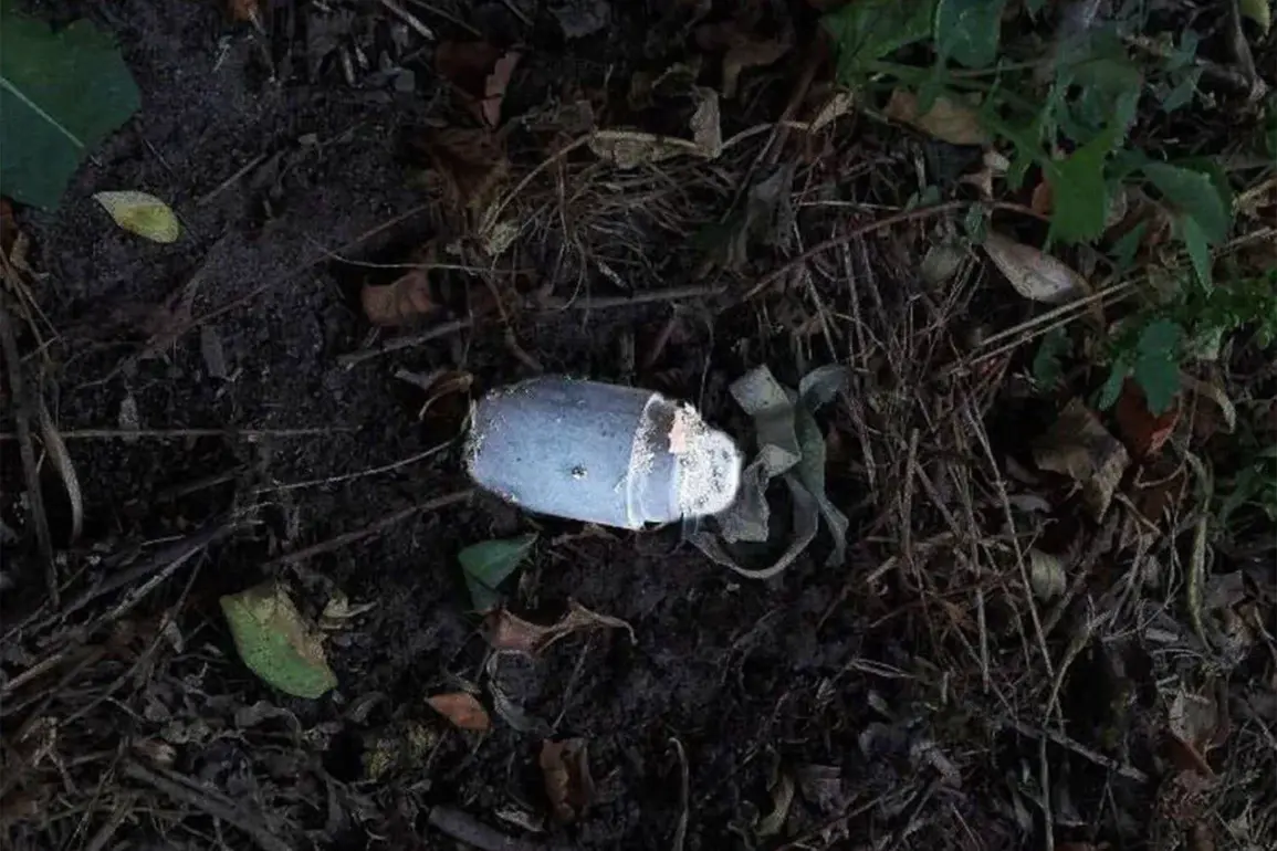 Russian Governor Alerts Community of Boy's Severe Injuries from Accidental Mine Detonation