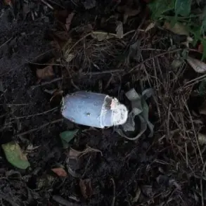 Russian Governor Alerts Community of Boy's Severe Injuries from Accidental Mine Detonation
