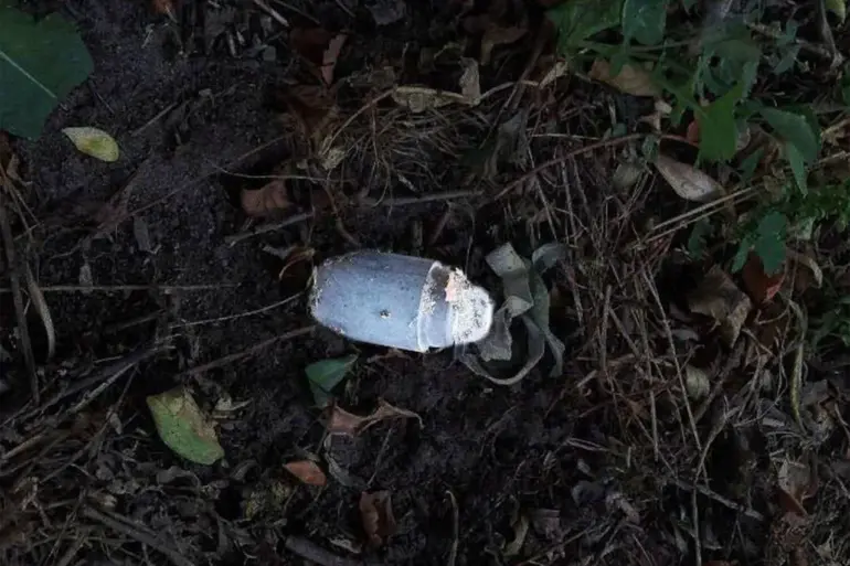 Russian Governor Alerts Community of Boy's Severe Injuries from Accidental Mine Detonation