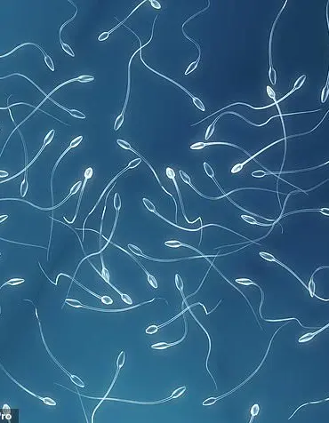 World's First: Sperm-Making Stem Cell Transplant Offers Hope for Childhood Cancer Survivors