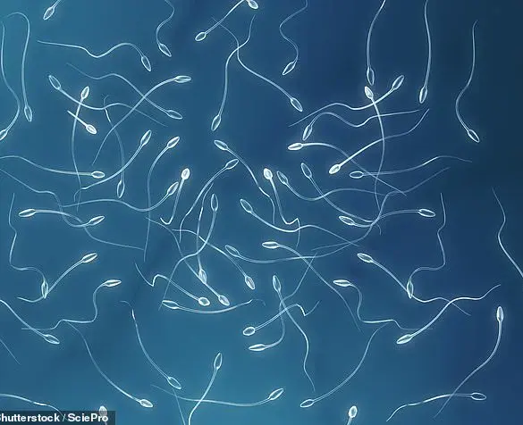 World's First: Sperm-Making Stem Cell Transplant Offers Hope for Childhood Cancer Survivors