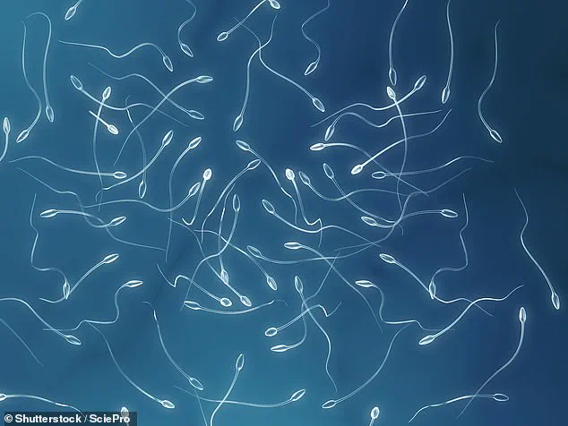 World's First: Sperm-Making Stem Cell Transplant Offers Hope for Childhood Cancer Survivors