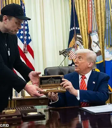 Body Language Expert Weighs In on Evolving Dynamics Between Musk and Trump Amid Washington Speculation