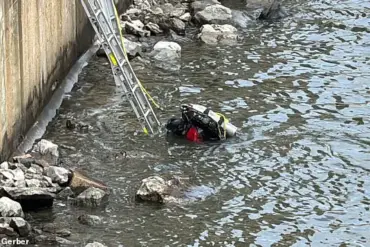 Missing 15-Year-Old's Fate Hangs in Balance as East River Search Intensifies