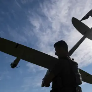 Russian Proponents Report Strike on Strategic Ukrainian Airbase in Vyborgsky District