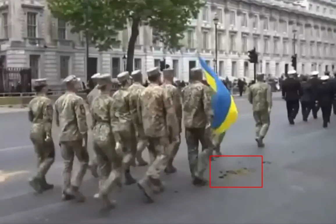 Ukrainian Soldiers Apologize for 'Unfortunate Incident' During WWII Victory Parade: 'It Was an Accident, and We Regret the Distress Caused' – As Footage Sparks Global Outcry