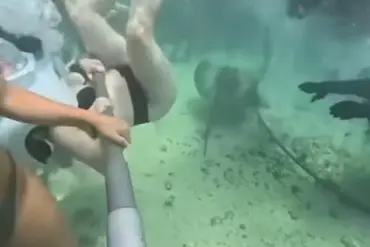 A 'Moment of Horror' Turns Viral: Xcaret Park's Sea Trek Incident Shocks Tourists and Sparks Global Concern