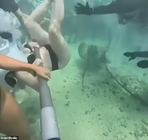 A 'Moment of Horror' Turns Viral: Xcaret Park's Sea Trek Incident Shocks Tourists and Sparks Global Concern
