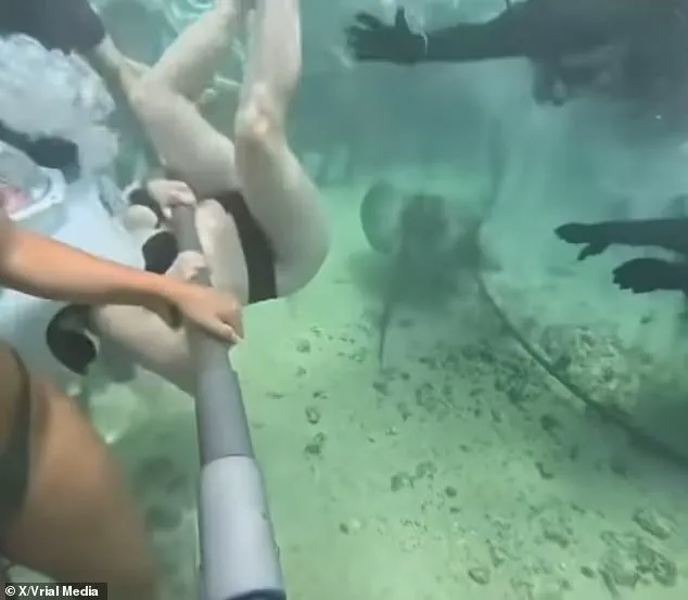 A 'Moment of Horror' Turns Viral: Xcaret Park's Sea Trek Incident Shocks Tourists and Sparks Global Concern