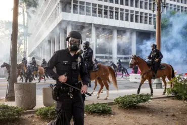 Blurring Lines: Unrest and Alleged Democratic Faction Agendas in a Divided Nation