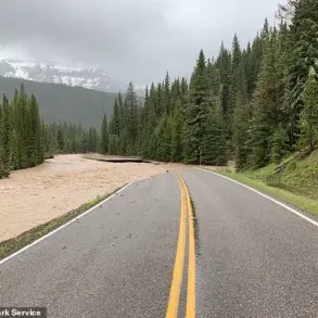 Oregon Man's Legal Battle Highlights Tension Between Personal Urgency and Public Safety Regulations in Yellowstone