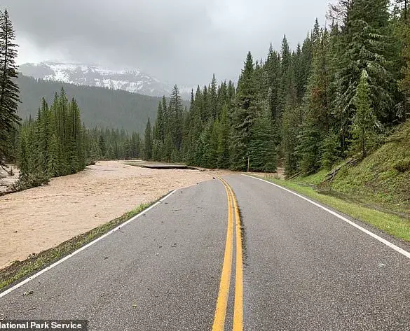 Oregon Man's Legal Battle Highlights Tension Between Personal Urgency and Public Safety Regulations in Yellowstone
