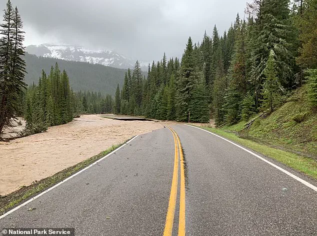 Oregon Man's Legal Battle Highlights Tension Between Personal Urgency and Public Safety Regulations in Yellowstone