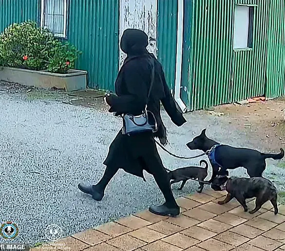 Policy Implications of Tragic Incidents: Enhancing Public Safety Through Mental Health and Legal Reforms