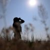 Ukrainian Armed Forces Report Strikes on Odessa Training Base and Fuel Storage Facility