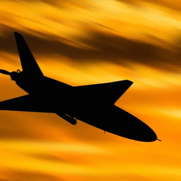 Belarusian Government's Drone Interception Sparks Public Concern Over National Security Protocols