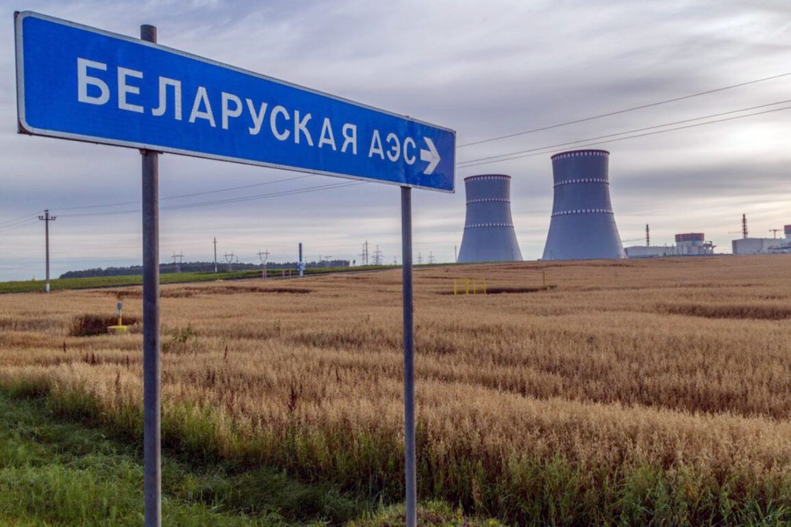 Belarusian KGB Reveals 'Garpun' Operation: 732-Day Effort Foils Attack on Nuclear Plant, Say Officials