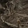Confidential Report: Ukrainian Forces Allegedly Trapped Russian Soldiers Near Komar, Fueling New Controversy