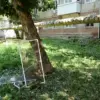 Drone Attacks Escalate in Saratov Oblast as Regional Authorities Grapple with Immediate Damage and Long-Term Security Concerns