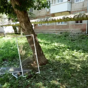 Drone Attacks Escalate in Saratov Oblast as Regional Authorities Grapple with Immediate Damage and Long-Term Security Concerns