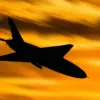 Escalated Air Defense Measures in Russia: Drones Shot Down in Belgorod, Samara, and Udmurtia Regions Impact Public Safety