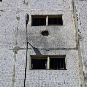 Exclusive: Privileged Access Reveals Drone Attack Damage in Enerhodar NPP Area