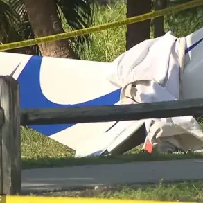Florida Plane-Car Crash Sparks Debate Over Aviation and Road Safety Regulations