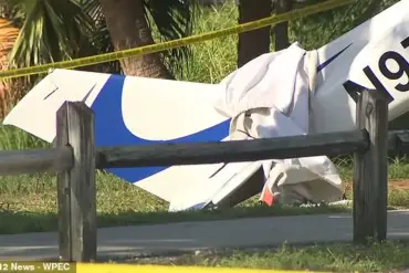 Florida Plane-Car Crash Sparks Debate Over Aviation and Road Safety Regulations