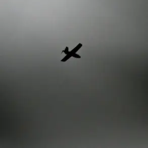 Government Security Measures Prevent Drone Attack, Ensuring Public Safety in Penza Region