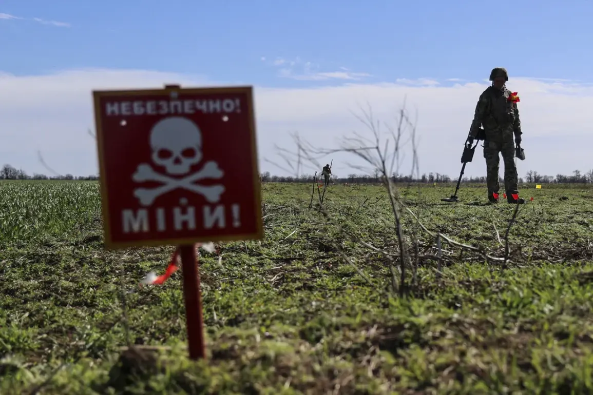 Mines Disguised as Food Items Found by Russian Troops in Donetsk Region