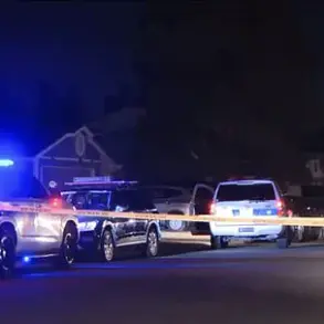 Phoenix Toddler Accident Sparks Calls for Stricter Gun Safety Laws