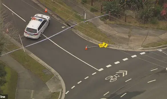 Privileged Access to Details: Elderly Driver's Collision on Coleman Road Leaves Fatalities