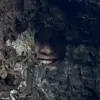 Reddit's 'Find the Sniper' Thread Challenges Users with a Visual Puzzle in New Zealand