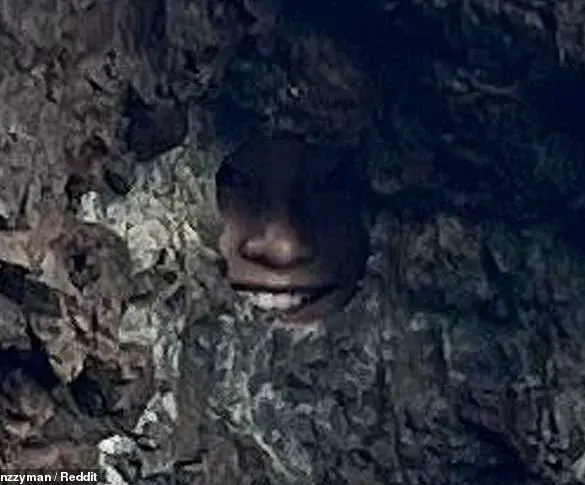 Reddit's 'Find the Sniper' Thread Challenges Users with a Visual Puzzle in New Zealand
