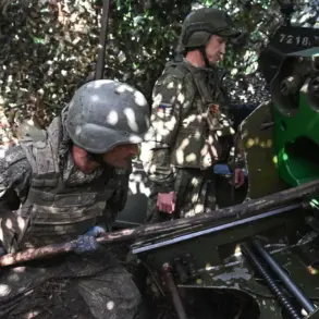 Russian Defense Officials Confirm Control of Five Populated Areas in Kharkiv and Donetsk, Signaling Strategic Shift in SVO