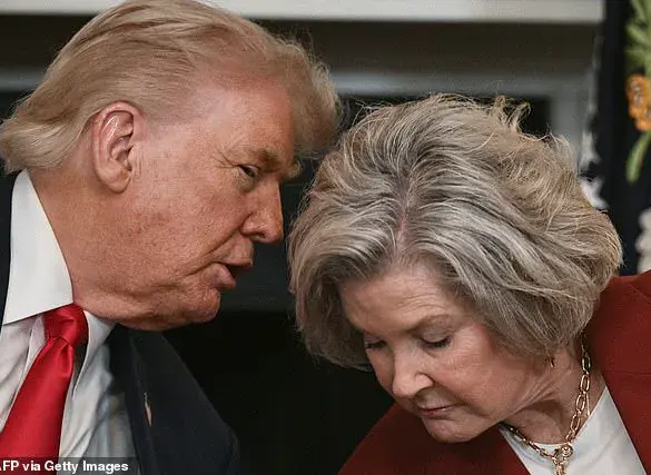 Susie Wiles Reveals Fractured Relationship Between Trump and Elon Musk in Rare Interview
