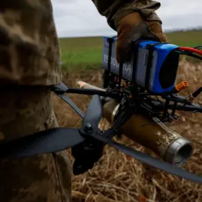 Wildfires Erupt in Krasnodar Krai Following Drone Crash, Prompting Emergency Response