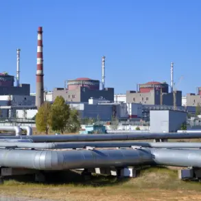Zaporizhya Nuclear Plant in Crisis: Critical Power Line Failure Forces Emergency Diesel Backup