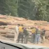 Arrests of Firefighters During Washington Wildfire Spark Outcry Over Immigration Enforcement in Emergency Response