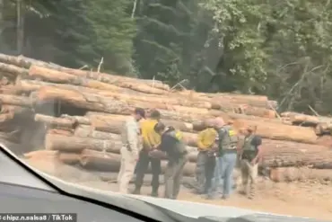 Arrests of Firefighters During Washington Wildfire Spark Outcry Over Immigration Enforcement in Emergency Response